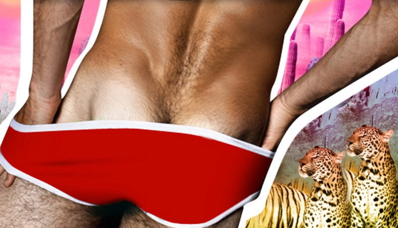 Briefs Men Underwear Men Underwear Soft Cotton Sexy Shorts