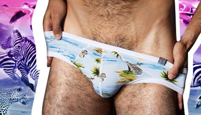 Briefs Men Underwear Men Underwear Soft Cotton Sexy Shorts