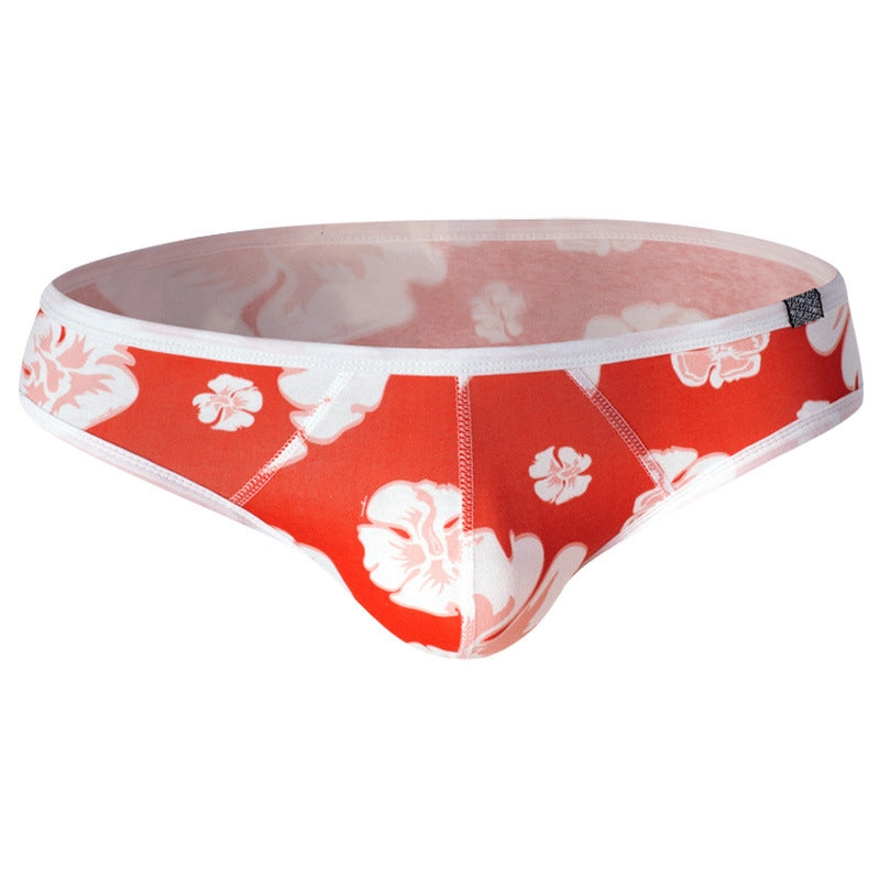 Briefs Men Underwear Men Underwear Soft Cotton Sexy Shorts