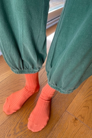 Le Bon Shoppe Her Tangerine Socks