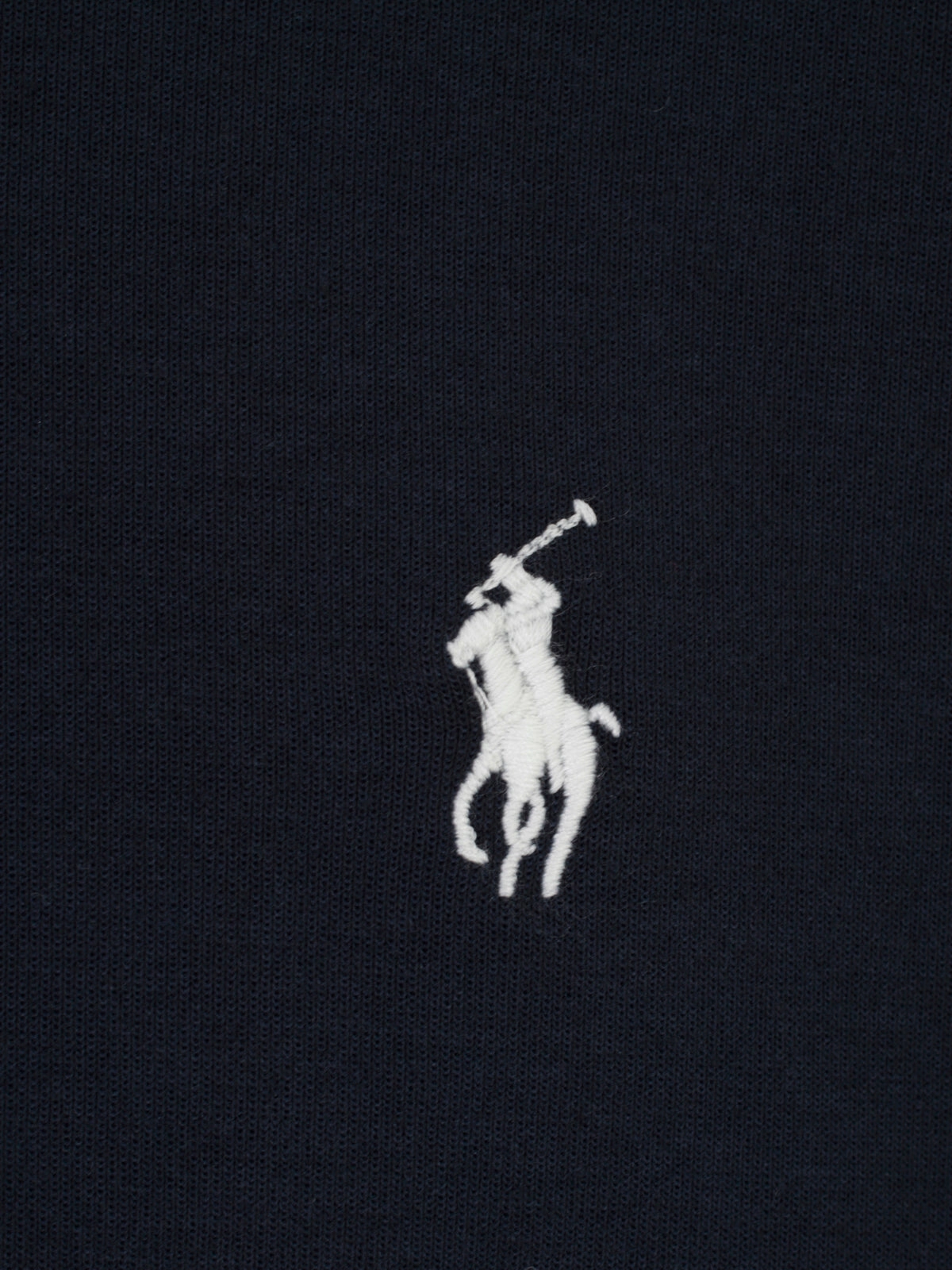 Polo Ralph Lauren Logo Embroidered Zipped Hoodie