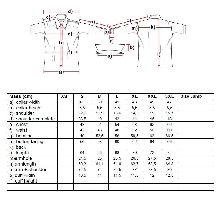 Sharon Ladies Western Blouse